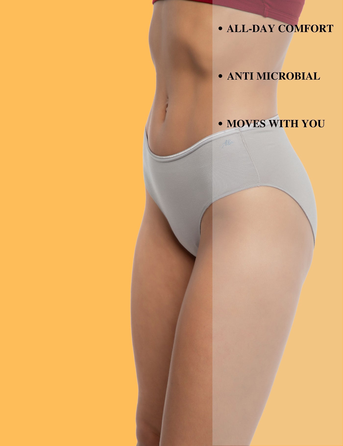 AshleyandAlvis Bamboo Micro Modal antibacterial Hipster panties(Pack o